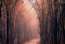 2025年全国U14青少年篮球联赛在长沙启动人民日报.